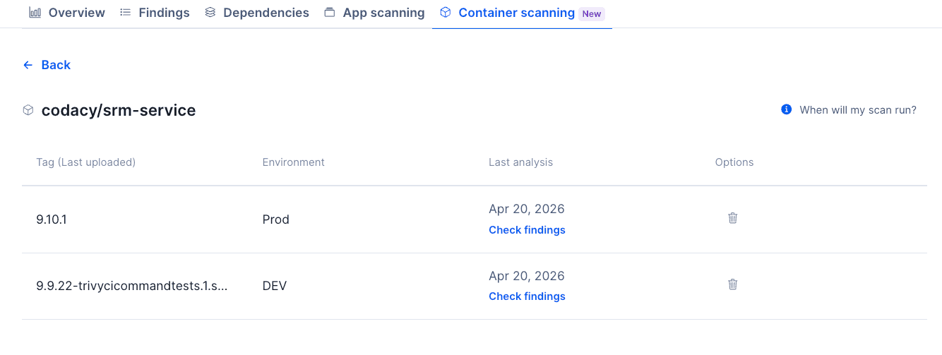 Security and risk management container image tags